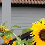 ヴィラ Casa Da Aguada