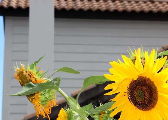 Villa Casa Da Aguada